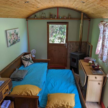 Rosa The Cosy Cabin - Gypsy Wagon - Shepherds Hut, River Views Off-Grid Eco Living Pedrogao Grande Exterior foto