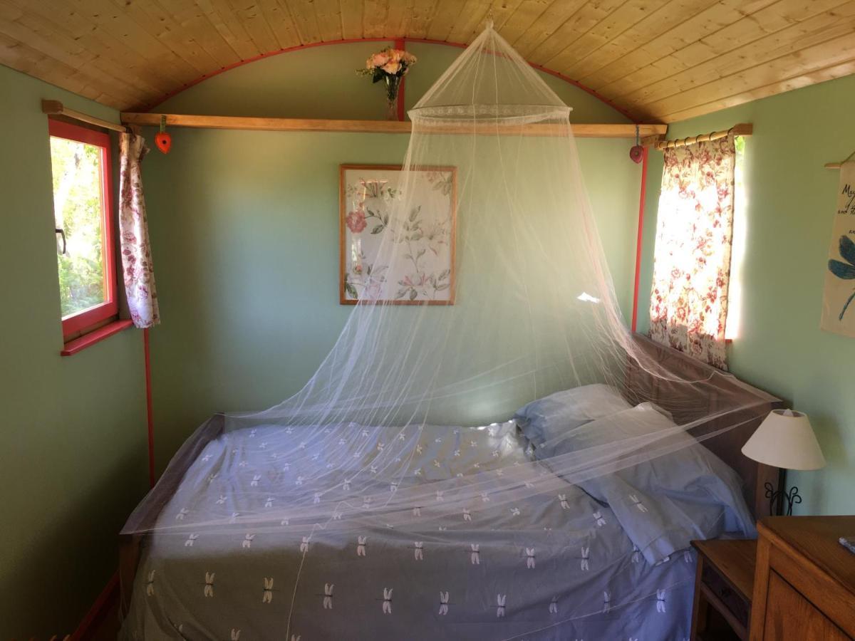 Rosa The Cosy Cabin - Gypsy Wagon - Shepherds Hut, River Views Off-Grid Eco Living Pedrogao Grande Exterior foto